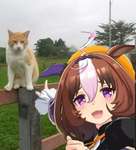 【ウマ娘】ノーザンレイクのクラファンが400%行きそうですぅ~!!のサムネイル画像