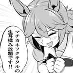 【ウマ娘】ここがフクキタル生耳揉み放題会場ですか…のサムネイル画像