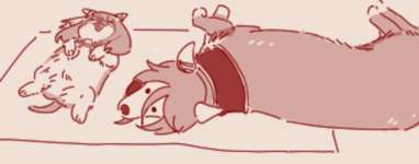 【ウマ娘】ヘソ天で寝てる忠犬ミラ公とケイドッグのサムネイル画像