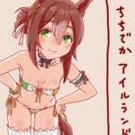 【ウマ娘】ファインの場合お胸ナイジェリアでは（）のサムネイル画像