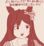 ウマ娘よく知らないけど毎回同人誌の締め切り破るヤツのサムネイル画像