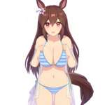 【ウマ娘】ボーノの叡智な水着を見せろつってんだよ俺は！！！マイクロビキニとか！ビコーと水着交換とか！のサムネイル画像