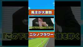 馬主が騎乗ミスで大激怒!!　　#競馬 #ウマ娘 #ニシノフラワーのサムネイル画像