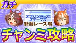 10月新潟短距離チャンミ攻略【ウマ娘/ミニ作画1.8h/編集18.3h】のサムネイル画像