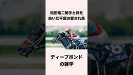 ディープボンドの雑学 #競馬 #競馬予想 #shorts  #ウマ娘のサムネイル画像