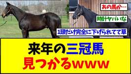 来年の三冠馬、見つかるｗｗｗ【反応集】のサムネイル画像