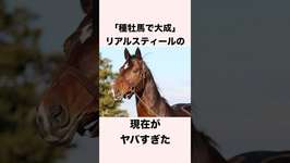 【 競馬 】リアルスティールの雑学 【 競馬の雑学 】【 ウマ娘 】 #競馬 #雑学 #リアルスティール  #ウマ娘 #shortsのサムネイル画像