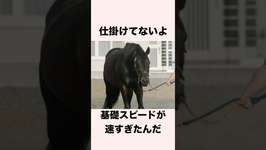 【 競馬 】マルゼンスキーの雑学 【 競馬の雑学 】【 ウマ娘 】 #競馬 #雑学 #マルゼンスキー  #ウマ娘 #shortsのサムネイル画像