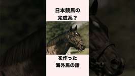 【 競馬 】ストームキャットの雑学 【 競馬の雑学 】【 ウマ娘 】 #競馬 #雑学 #ストームキャット  #ウマ娘 #shortsのサムネイル画像