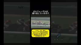 阪神大賞典2012 ♯競馬♯ウマ娘♯オルフェーヴル♯重賞プレイバック♯逸走のサムネイル画像