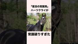 【 競馬 】ハーツクライの雑学 【 競馬の雑学 】【 ウマ娘 】 #競馬 #雑学 #ハーツクライ #ウマ娘 #shortsのサムネイル画像