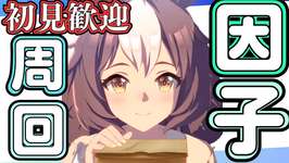 【ウマ娘】ダートLOHに向けて因子周回やっていきましょうー!!!のサムネイル画像