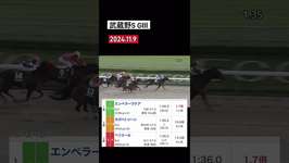 武蔵野S G3 2024.11.9 ♯競馬♯ウマ娘のサムネイル画像