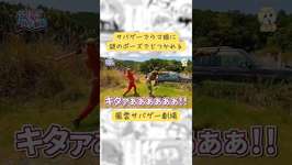 サバゲーでウマ娘に謎のポーズでどつかれる【風雲サバゲー劇場】#サバゲー #サバイバルゲーム #airsoft #こくりんごのサバゲー劇場のサムネイル画像