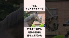 【 競馬 】トウカイテイオーの雑学 【 競馬の雑学 】【 ウマ娘 】 #競馬 #雑学 #トウカイテイオー #ウマ娘 #shortsのサムネイル画像