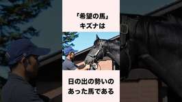 【 競馬 】キズナの雑学 【 競馬の雑学 】【 ウマ娘 】 #競馬 #雑学 #キズナ #ウマ娘 #shortsのサムネイル画像