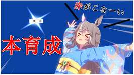 ウマ娘　オークス用アキュート本育成　シニアまで育成がやりたい…【チャンミ】　513日目のサムネイル画像