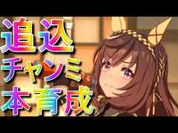 【ウマ娘】465日目　12月チャンミ本育成のサムネイル画像
