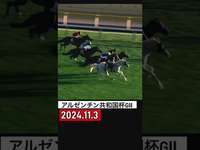 アルゼンチン共和国杯G2 2024.11.3♯競馬♯ウマ娘♯東京のサムネイル画像