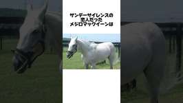 メジロマックイーンに関する面白い雑学 #shorts #競馬 #ウマ娘のサムネイル画像