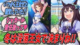 【ウマ娘】なぜかわからないけどファインモーションのことをアイルランドの王女だとずっと思い込んでいてトレーナーから間違いを正されると同時にいい感じの没落ネタが思いついたメジロドーベルのサムネイル画像