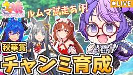 【ウマ娘】秋華賞チャンミ育成＆参加型ルムマ！最強中距離ウマ娘を育てろ🔥ランク予想でダンベルチャレンジ！【小鳥遊波音/Vtuber】のサムネイル画像