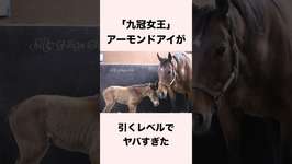 【 競馬 】アーモンドアイの雑学 【 競馬の雑学 】【 ウマ娘 】 #競馬 #雑学 #アーモンドアイ #ウマ娘 #shortsのサムネイル画像