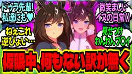 【ウマ娘】『トレーナー室で仮眠中、イヌ娘が後輩に見せつけながら独占欲をぶつけているのに熟睡するトレ』に対するみんなの反応集【ウマ娘 反応集】まとめ ウマ娘プリティーダービーのサムネイル画像