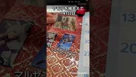 【げこGecko】ヤモリを捕まえて141日目　ウマ娘のウエハース買った #爬虫類 #ヤモリ #gecko #ペット #ウマ娘 #アニメ #ウマ娘プリティーダービー #有馬記念#ウエハース #バンダイのサムネイル画像