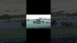 大物感漂う圧勝劇 #武豊 #競馬 #horse #ウマ娘 #中央競馬予想のサムネイル画像