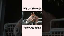 【 競馬 】ダイワメジャーの雑学 【 競馬の雑学 】【 ウマ娘 】 #競馬 #雑学 #ダイワメジャー #ウマ娘 #shortsのサムネイル画像