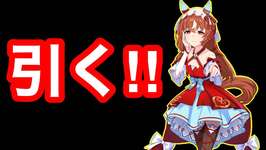 【ウマ娘】スティルインラブ引くぞぉぉ！！スティルインラブのチャンミ因子周回を考える！！【チャンピオンズミーティングクラシック】のサムネイル画像
