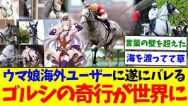 『ウマ娘海外ユーザーにゴールドシップの奇行がバレてしまった件』に対するみんなの反応集【競馬/ゴールドシップ】のサムネイル画像