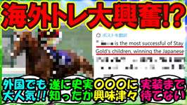 『海外トレーナーさん、あるウマ娘の史実を大熱弁する姿がSNSで大反響！』まとめ 【ウマ娘プリティーダービー】のサムネイル画像