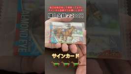 番外編 | サラブレッドホースコレクション開封！#ウマ娘 #asmr #cards #アーモンドアイ #競馬のサムネイル画像