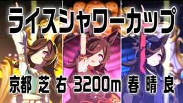 【ウマ娘】ライスシャワーカップ本選、決勝配信会場のサムネイル画像