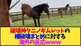 【ウマ娘 海外の反応】破壊神タニノギムレットの柵破壊まとめに対する海外の反応ｗｗｗ【反応集】のサムネイル画像