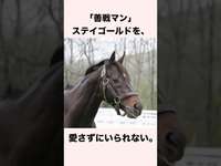 【 競馬 】ステイゴールドの雑学 【 競馬の雑学 】【 ウマ娘 】 #競馬 #雑学 #ステイゴールドス #ウマ娘 #shortsのサムネイル画像