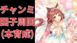 【ウマ娘】【無課金】チャンミ因子周回&本育成！/チャンピオンズミーティング/チャンミ/初見さん大歓迎　　#ウマ娘のサムネイル画像