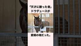 【 競馬 】ドウデュースの雑学 【 競馬の雑学 】【 ウマ娘 】 #競馬 #雑学 #ドウデュース #ウマ娘 #shortsのサムネイル画像