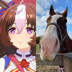 【ウマ娘】8000万だから大半のことはもう解決できるっぽいなのサムネイル画像