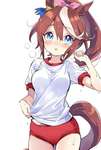 【ウマ娘】ブルマテイオーいいよね…のサムネイル画像
