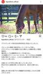 【ウマ娘】グラスワンダー…お前と走りたかった…のサムネイル画像