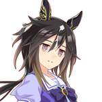 【ウマ娘】ステゴあくまで実馬とは別の存在なんだと明言されるとはのサムネイル画像