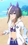 【ウマ娘】水着シュヴァルかわよのサムネイル画像